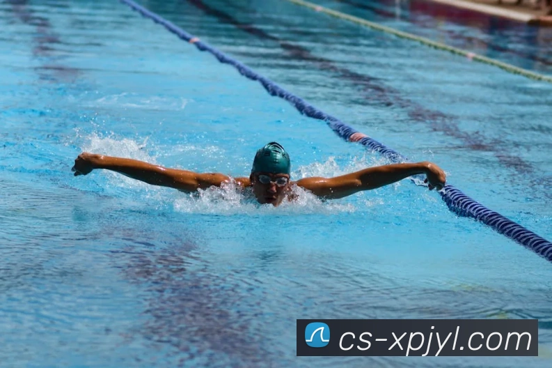 新葡京娱乐平台生态图